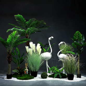 �����̻�ֲ������